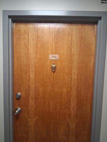 2009 Greene Street 304, Columbia, SC 29205