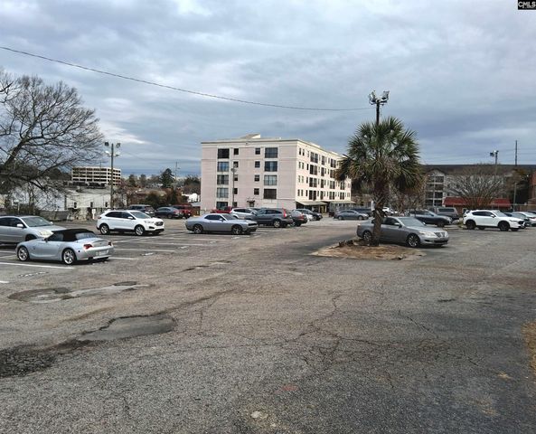 2009 Greene Street 304, Columbia, SC 29205