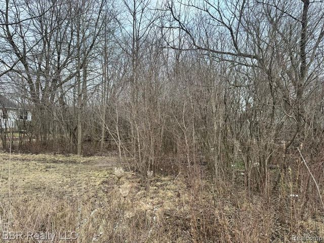 0 W Jefferson Avenue, Brownstown, MI 48173