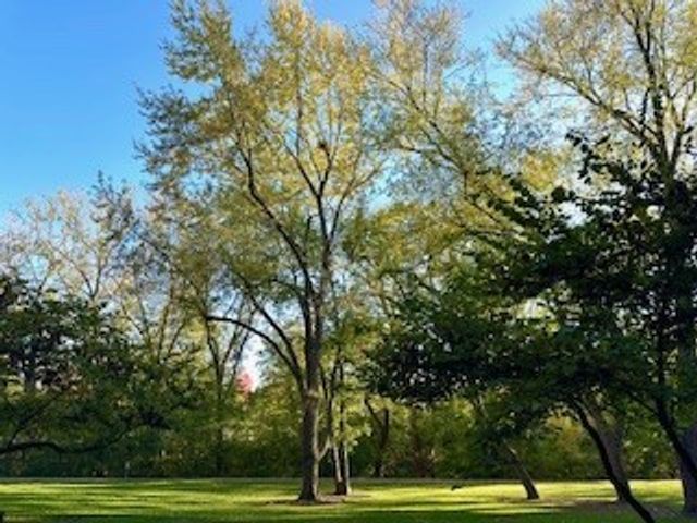 120 Lakeview Drive 109, Bloomingdale, IL 60108