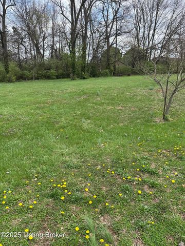 926 Woods Run Rd, Bardstown, KY 40004