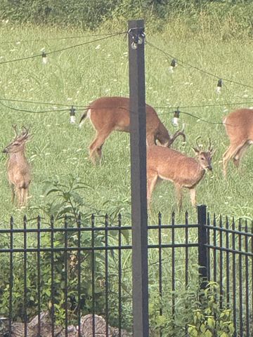 1138 Compton Rd, Murfreesboro, TN 37130