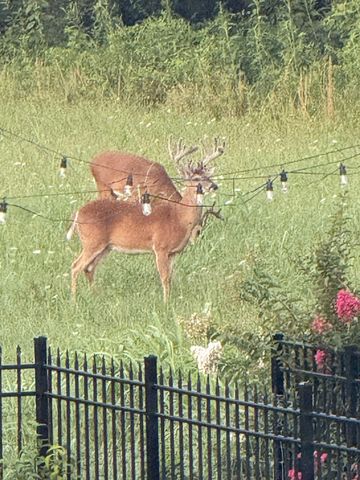 1138 Compton Rd, Murfreesboro, TN 37130