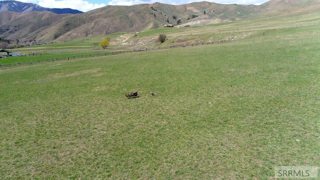 Image 11 of property listing at TBD Fourth Of July Creek Road, North Fork, ID 83466