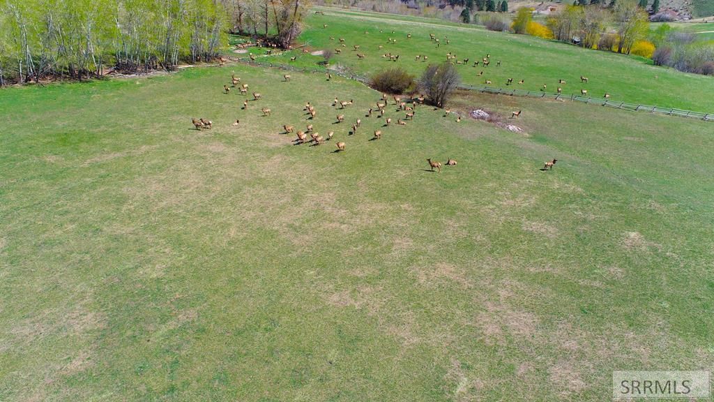 Image 15 of property listing at TBD Fourth Of July Creek Road, North Fork, ID 83466