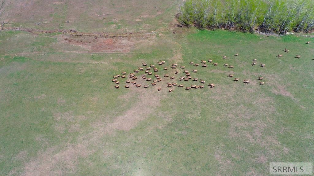 Image 18 of property listing at TBD Fourth Of July Creek Road, North Fork, ID 83466