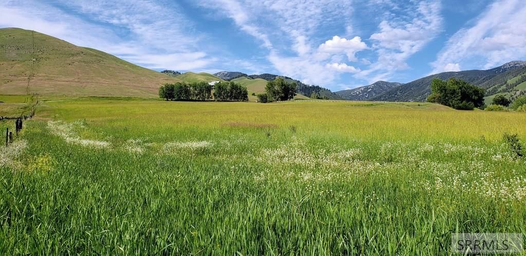 Image 7 of property listing at TBD Fourth Of July Creek Road, North Fork, ID 83466