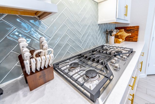 14336 Apache Wells, San Antonio, TX 78254