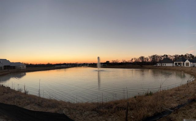 18843 Sanctuary Ave, Baton Rouge, LA 70817