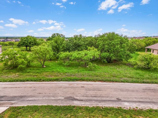 145 Tobiano Trace 1, Brock, TX 76087
