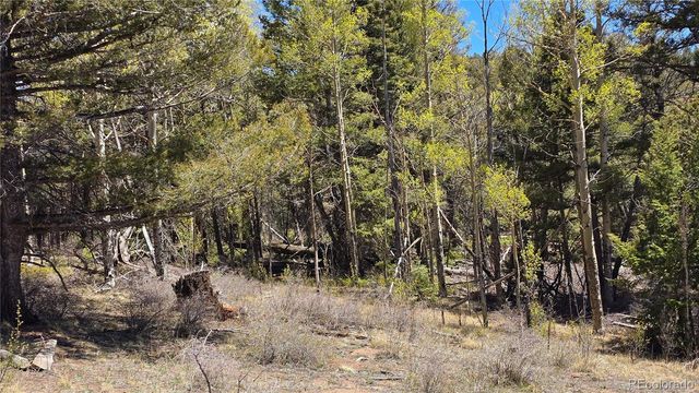 Lots 5817 & 5818 Balleroy & Covington Road, Fort Garland, CO 81133