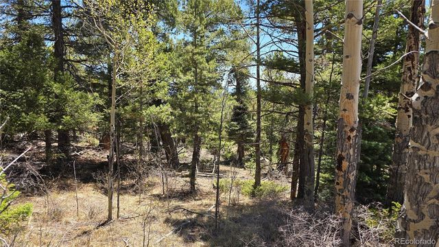 Lots 5817 & 5818 Balleroy & Covington Road, Fort Garland, CO 81133