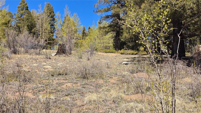 Lots 5817 & 5818 Balleroy & Covington Road, Fort Garland, CO 81133