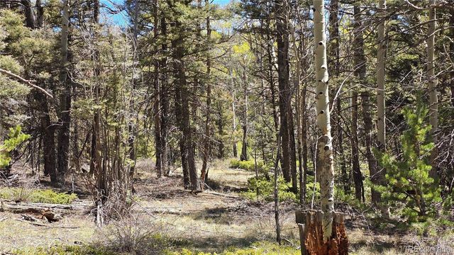 Lots 5817 & 5818 Balleroy & Covington Road, Fort Garland, CO 81133