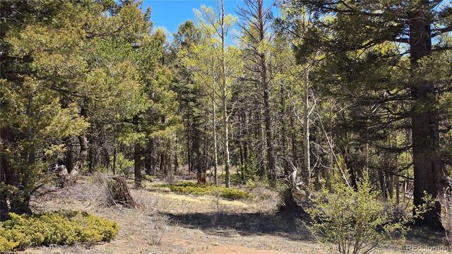 Lots 5817 & 5818 Balleroy & Covington Road, Fort Garland, CO 81133
