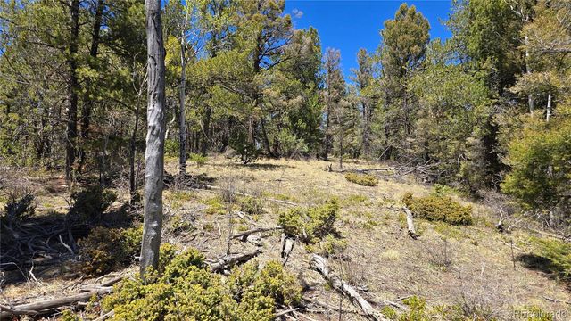 Lots 5817 & 5818 Balleroy & Covington Road, Fort Garland, CO 81133
