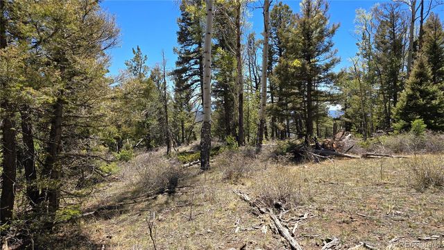 Lots 5817 & 5818 Balleroy & Covington Road, Fort Garland, CO 81133