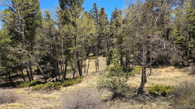 Lots 5817 & 5818 Balleroy & Covington Road, Fort Garland, CO 81133