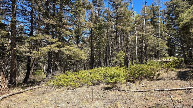 Lots 5817 & 5818 Balleroy & Covington Road, Fort Garland, CO 81133