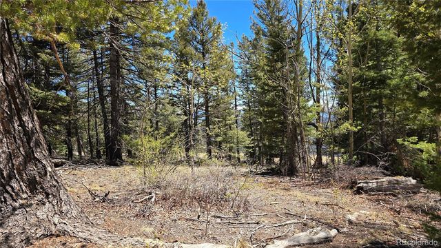 Lots 5817 & 5818 Balleroy & Covington Road, Fort Garland, CO 81133