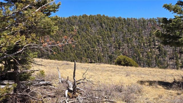 Lots 5817 & 5818 Balleroy & Covington Road, Fort Garland, CO 81133