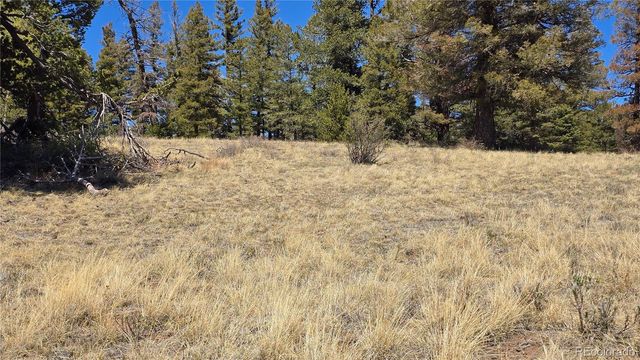 Lots 5817 & 5818 Balleroy & Covington Road, Fort Garland, CO 81133