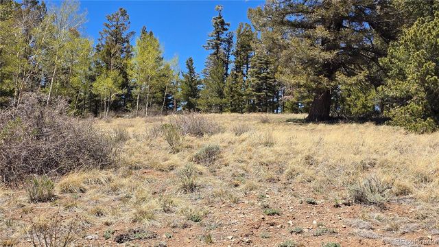 Lots 5817 & 5818 Balleroy & Covington Road, Fort Garland, CO 81133