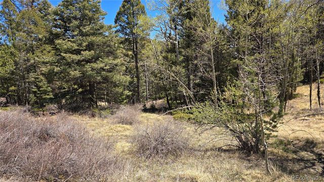 Lots 5817 & 5818 Balleroy & Covington Road, Fort Garland, CO 81133