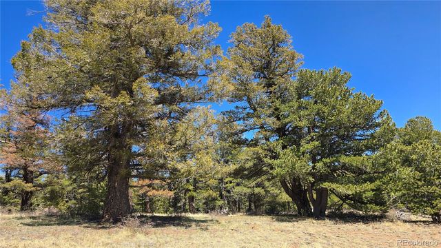 Lots 5817 & 5818 Balleroy & Covington Road, Fort Garland, CO 81133