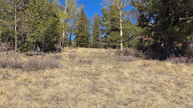 Lots 5817 & 5818 Balleroy & Covington Road, Fort Garland, CO 81133