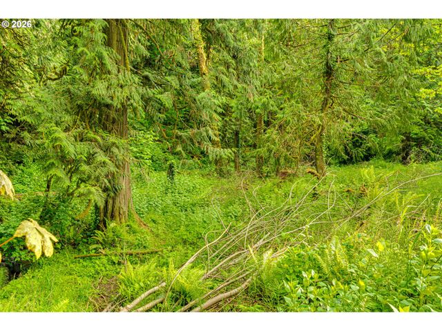 136 CHARLESTON Dr, Kalama, WA 98625