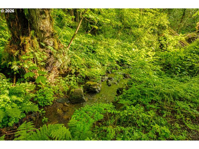 136 CHARLESTON Dr, Kalama, WA 98625
