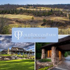 LT160 Hickory Way, Mineral Bluff, GA 30559