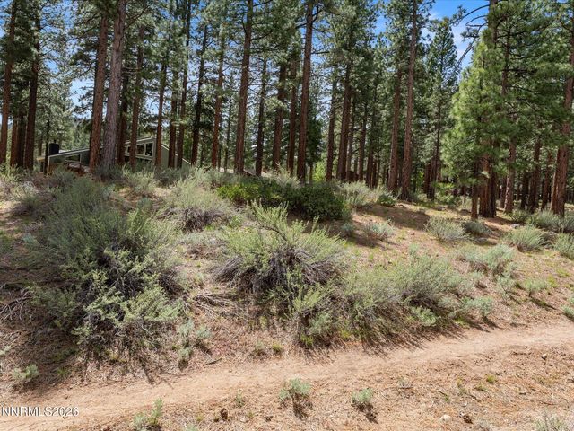 1005 Joy Lake Road, Reno, NV 89511