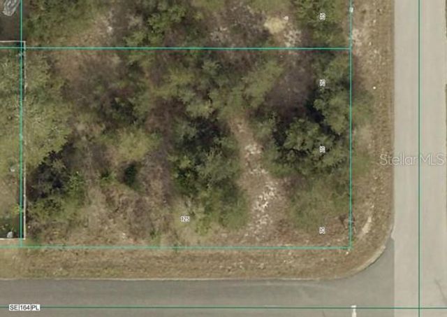 000 SE 88TH AVENUE, Summerfield, FL 34491