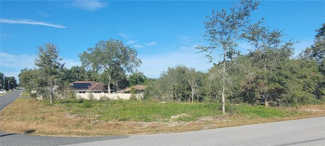 000 SE 88TH AVENUE, Summerfield, FL 34491