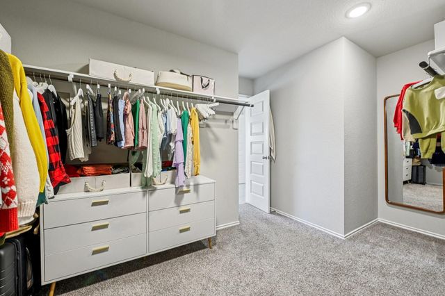 1728 Brushy Cedar Court, Conroe, TX 77301