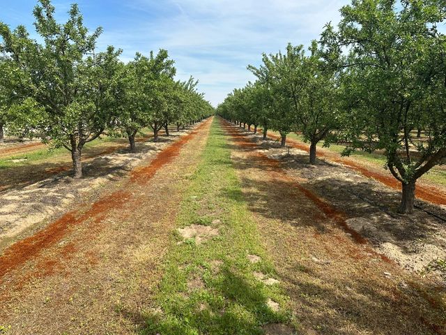 16027 S Marks Avenue, Caruthers, CA 93609