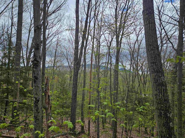 Lot 123 Paulsen Circle, Haverhill, NH 03765