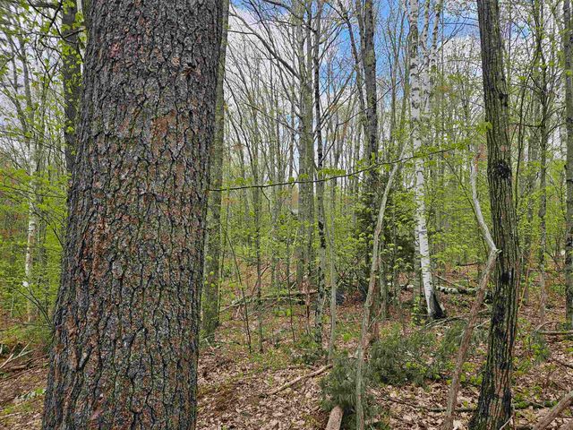 Lot 123 Paulsen Circle, Haverhill, NH 03765