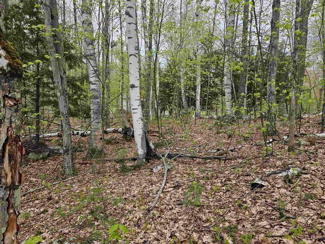 Lot 123 Paulsen Circle, Haverhill, NH 03765