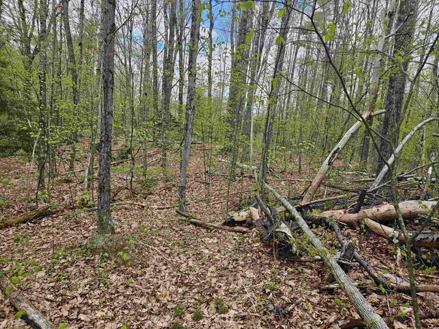Lot 123 Paulsen Circle, Haverhill, NH 03765
