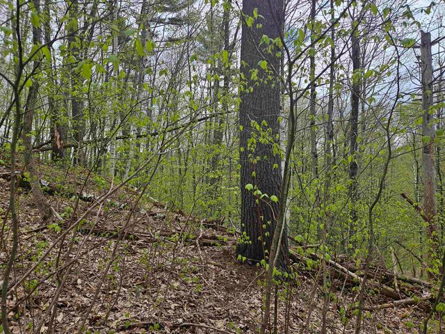 Lot 123 Paulsen Circle, Haverhill, NH 03765