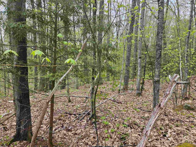 Lot 123 Paulsen Circle, Haverhill, NH 03765