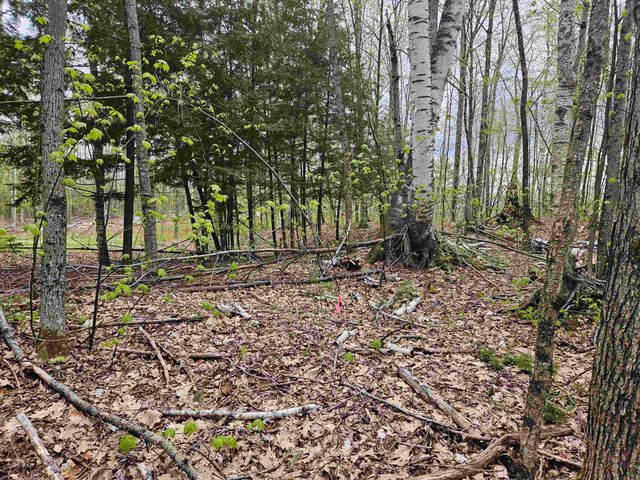 Lot 123 Paulsen Circle, Haverhill, NH 03765