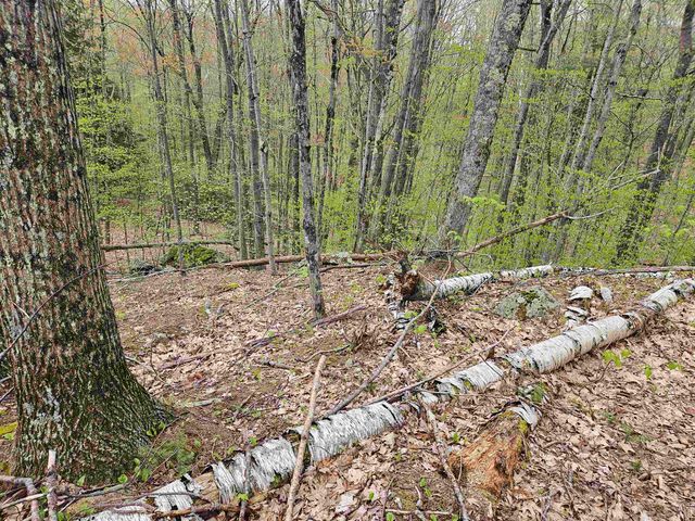Lot 123 Paulsen Circle, Haverhill, NH 03765