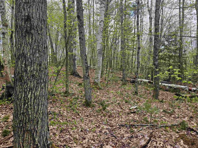 Lot 123 Paulsen Circle, Haverhill, NH 03765