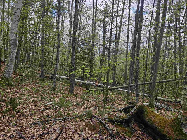 Lot 123 Paulsen Circle, Haverhill, NH 03765