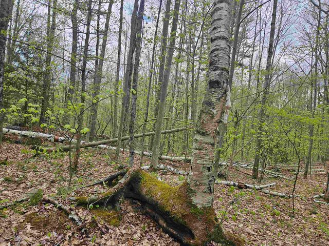 Lot 123 Paulsen Circle, Haverhill, NH 03765