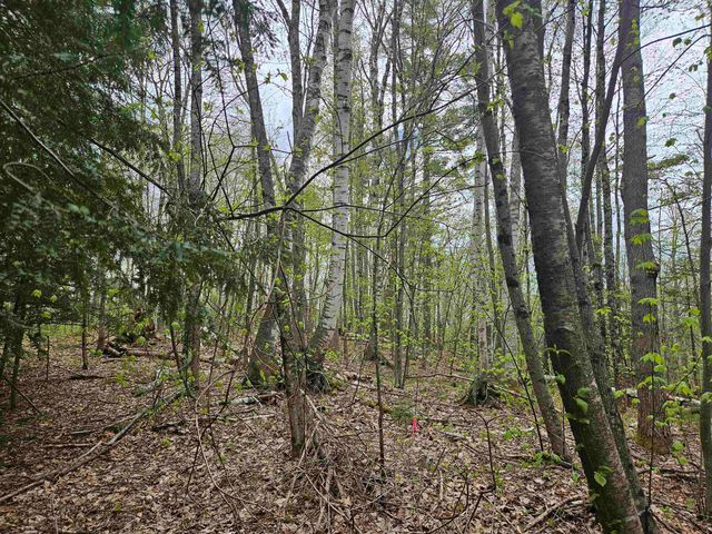 Lot 123 Paulsen Circle, Haverhill, NH 03765